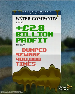 Sewage and water company profits